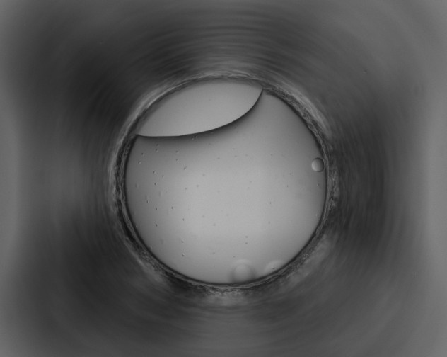 X0000088140978200705141028