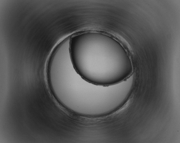 X0000088140981200705141028