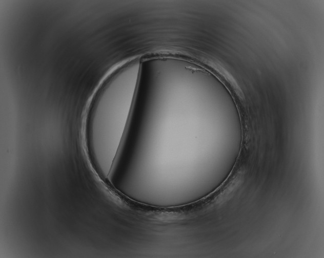 X0000088140984200705141028
