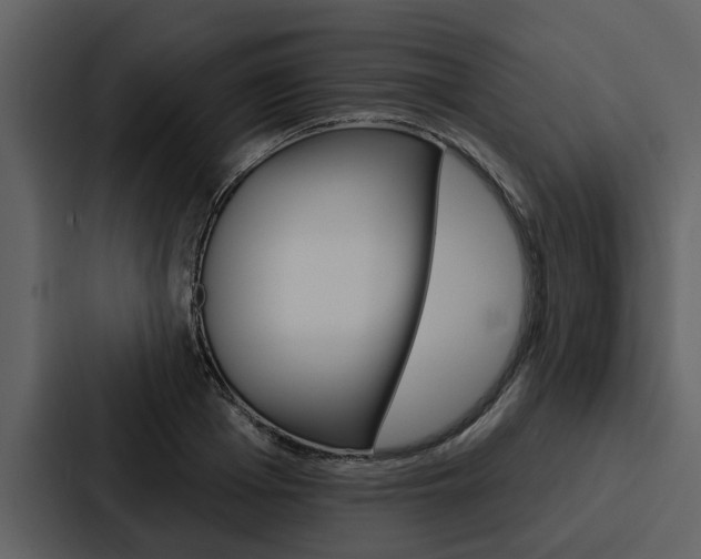 X0000088140985200705141028