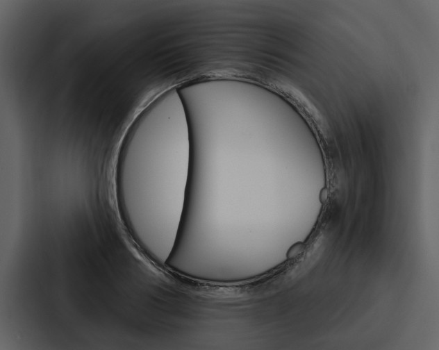 X0000088140986200705141028