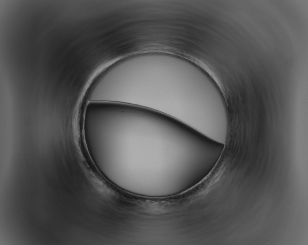 X0000088140987200705141028