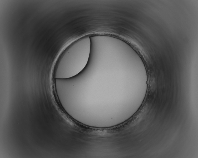 X0000088140990200705141028