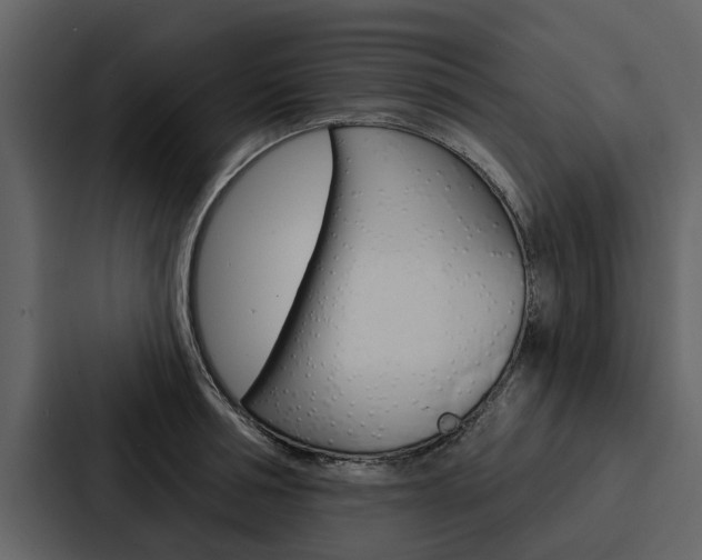 X0000088140994200705141028
