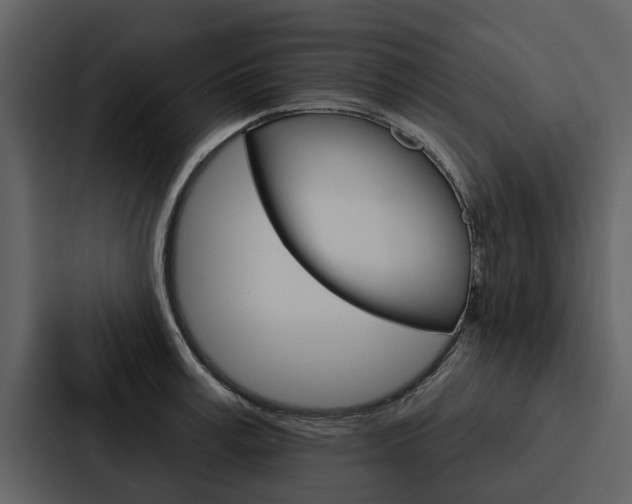 X0000088140995200705141028