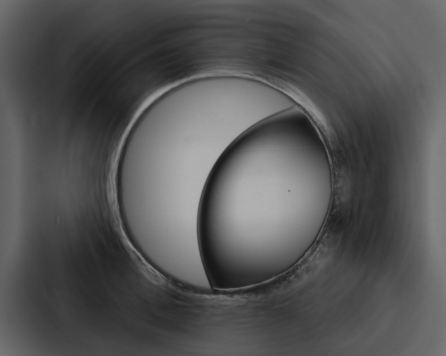 X0000088140996200705141028