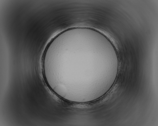 X0000088140998200705141028