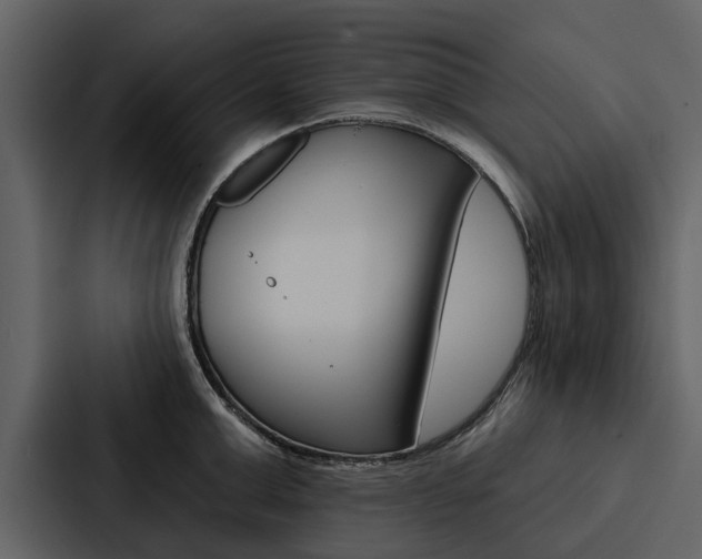 X0000088140999200705141028