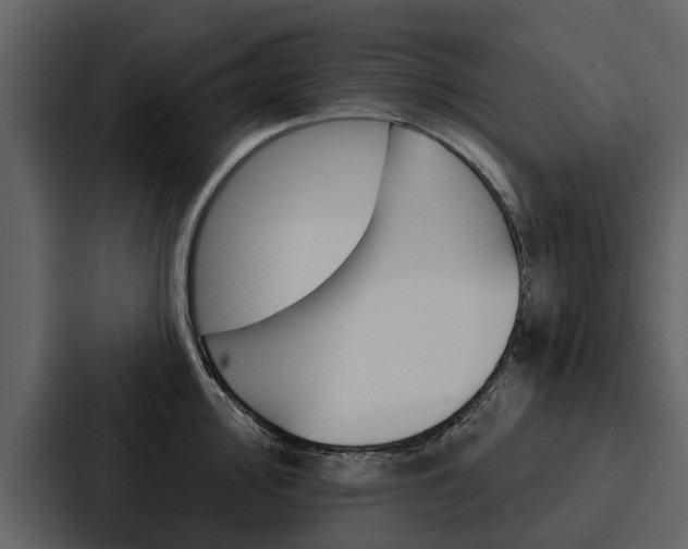 X0000088141000200705141028