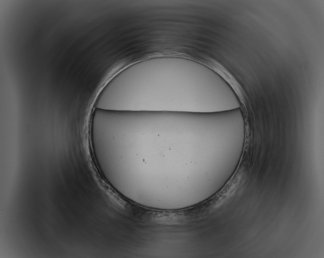 X0000088141002200705141028