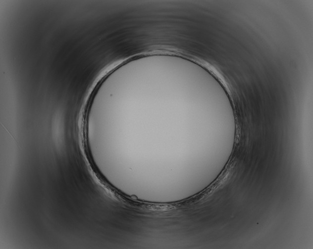 X0000088141003200705141028