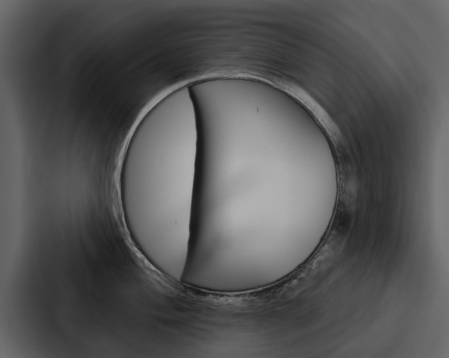 X0000088141004200705141028