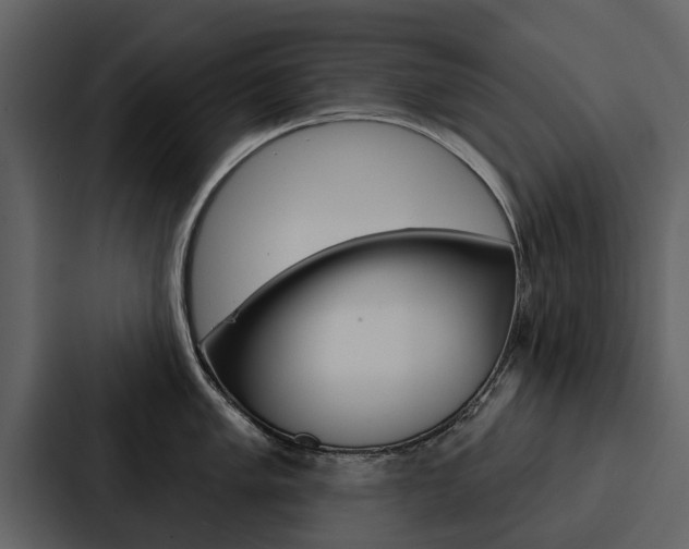 X0000088141005200705141028