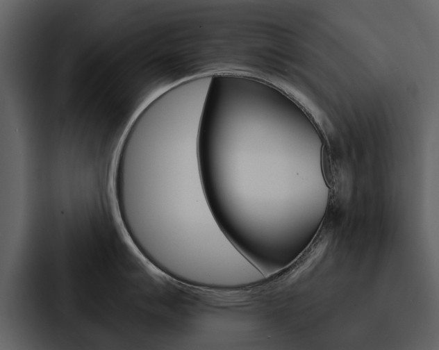 X0000088141007200705141028