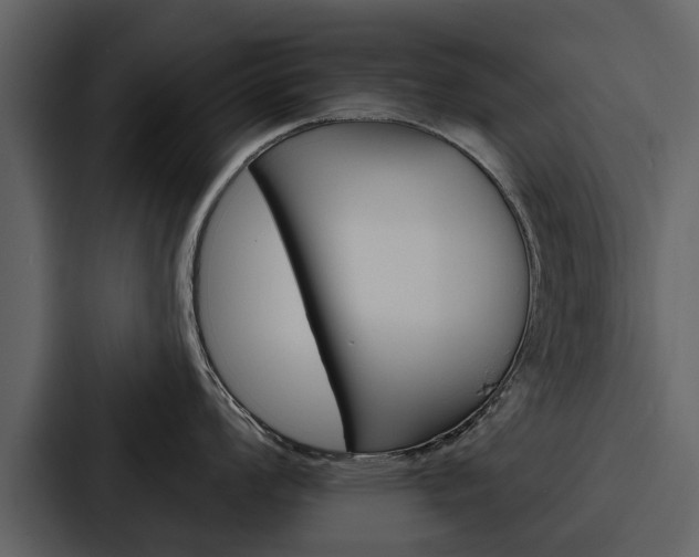 X0000088141008200705141028