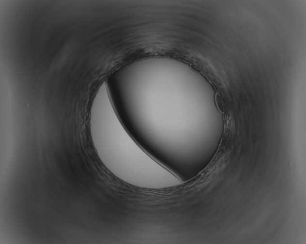 X0000088141012200705141027