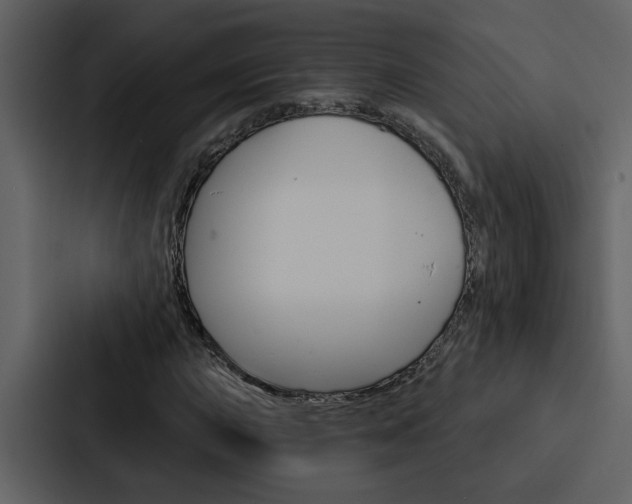 X0000088141015200705141027