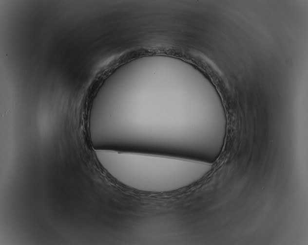 X0000088141016200705141027