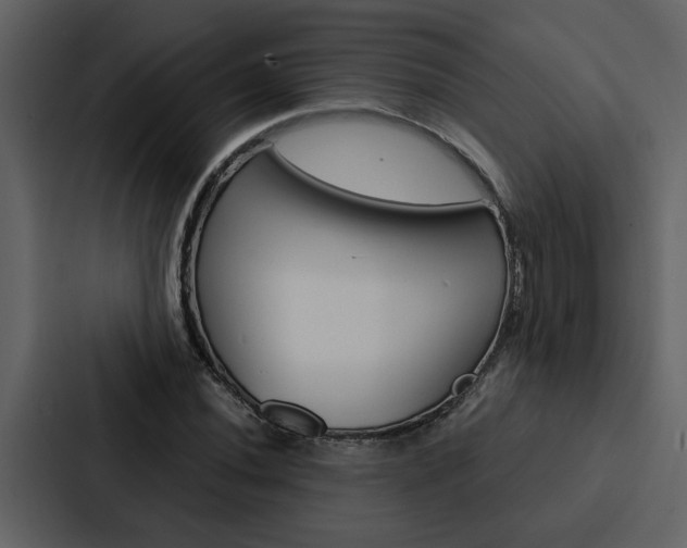 X0000088141020200705141027