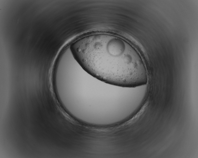 X0000088141029200705141027