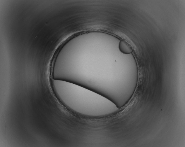 X0000088141031200705141027