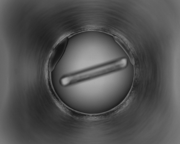 X0000088141034200705141027