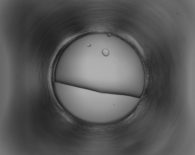 X0000088141035200705141027