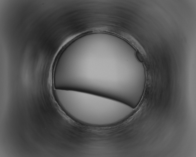 X0000088141036200705141027