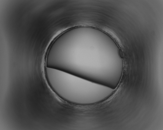 X0000088141040200705141028