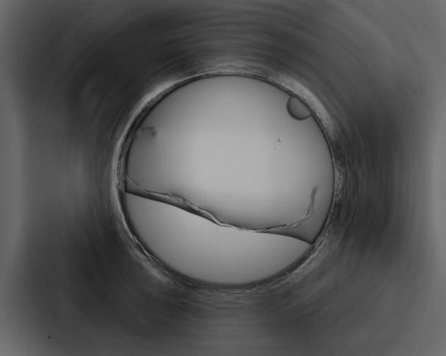 X0000088141043200705141028