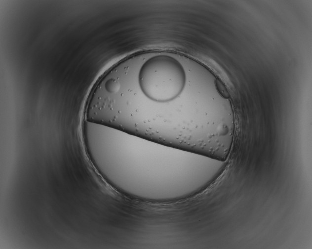 X0000088141044200705141028