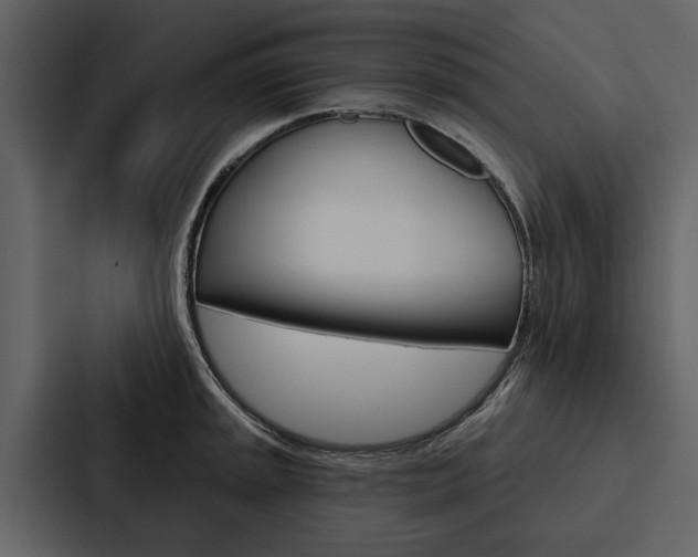 X0000088141045200705141028