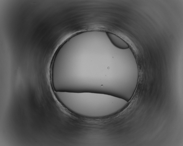 X0000088141047200705141028
