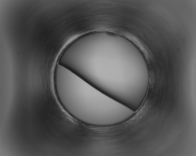 X0000088141048200705141028