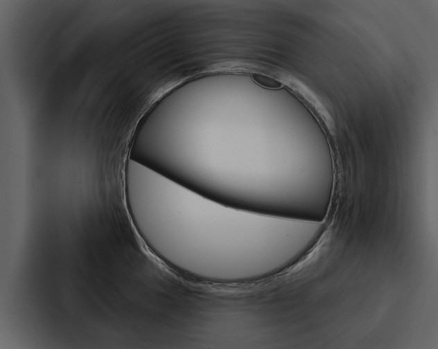 X0000088141049200705141028