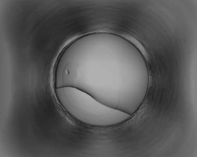 X0000088141051200705141028