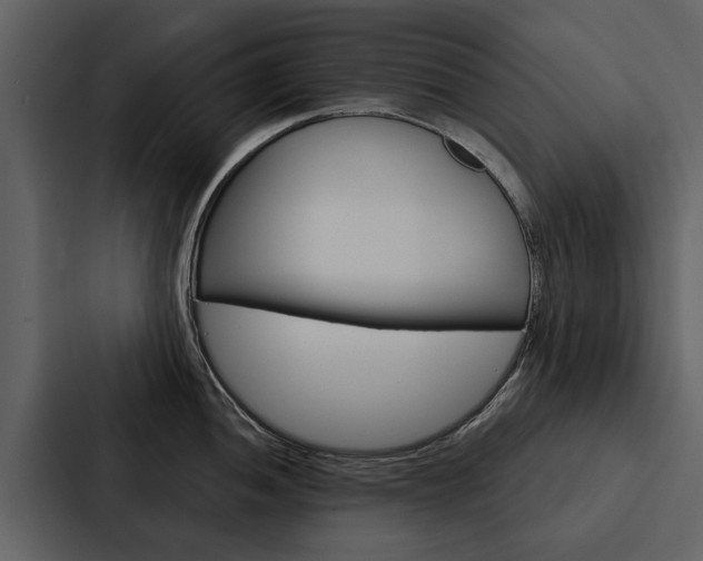 X0000088141052200705141028
