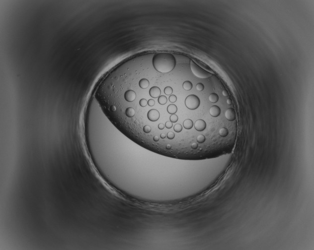 X0000088141053200705141028