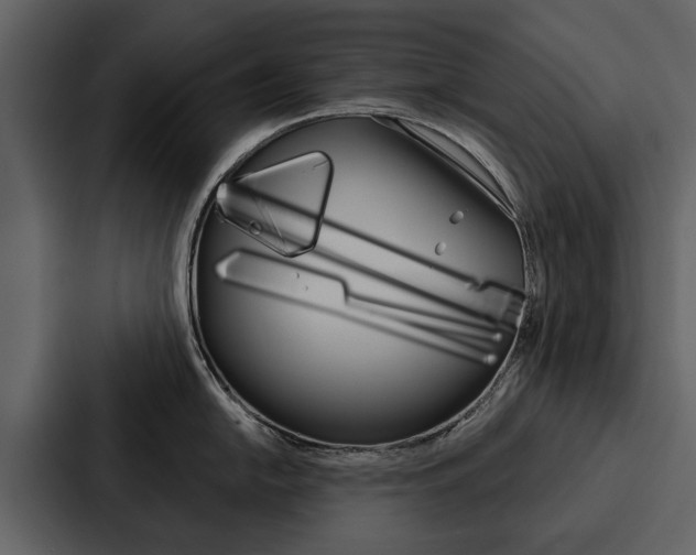 X0000088141054200705141028