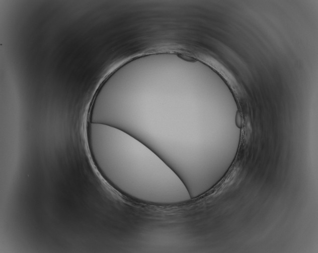 X0000088141055200705141028