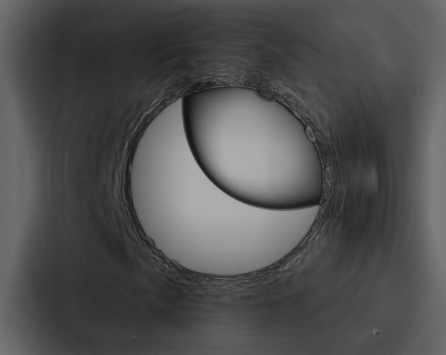 X0000088141057200705141027