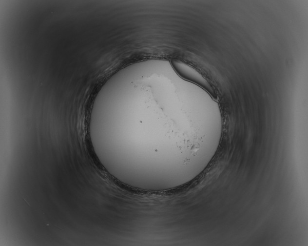 X0000088141058200705141027