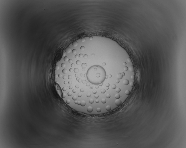 X0000088141059200705141027