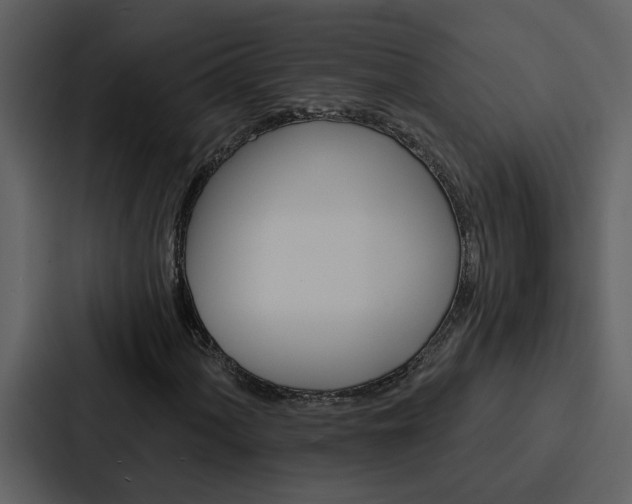 X0000088141060200705141027