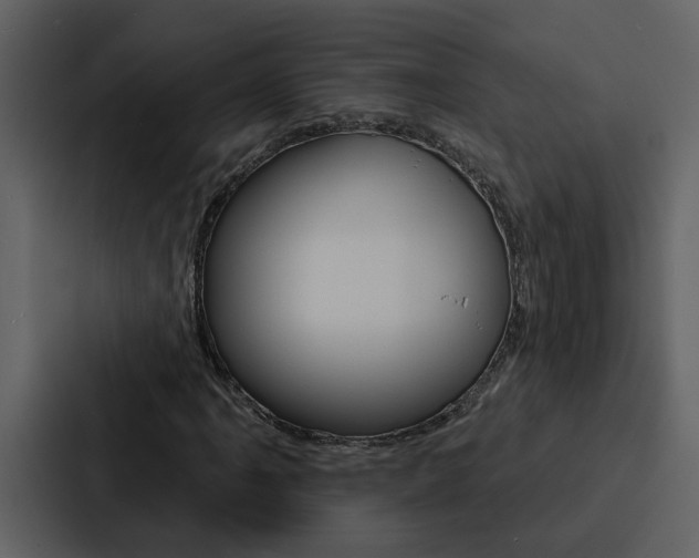 X0000088141061200705141027