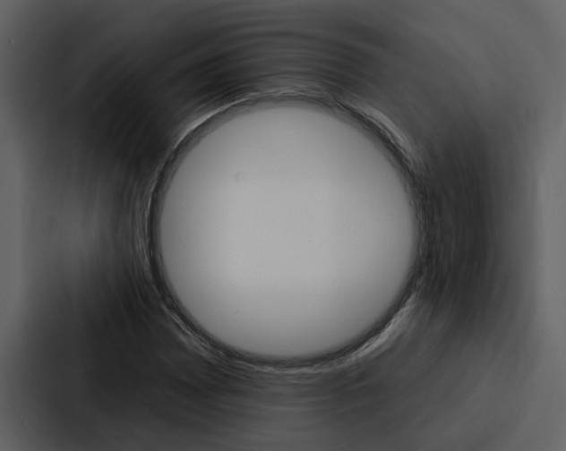 X0000088141065200705141027