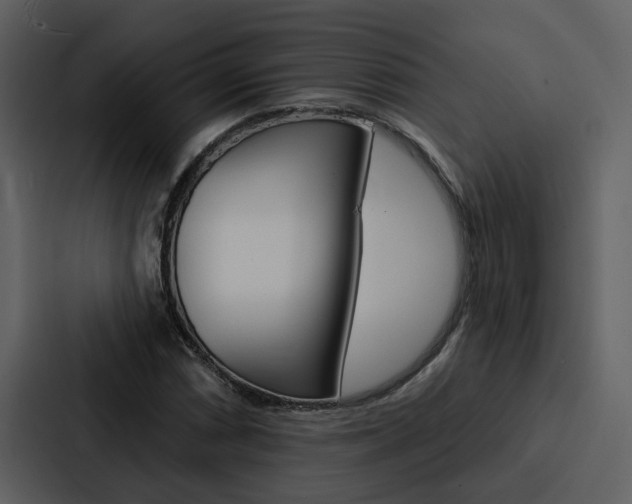 X0000088141066200705141027