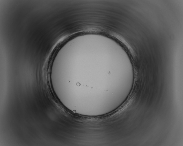 X0000088141067200705141027