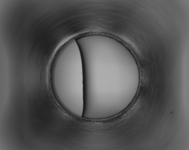 X0000088141070200705141027