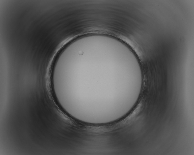 X0000088141074200705141027